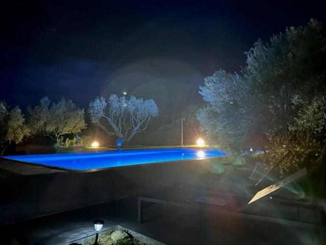 L'Arbre Qui Chante Saint-Etienne-de-Sermantin Extérieur photo