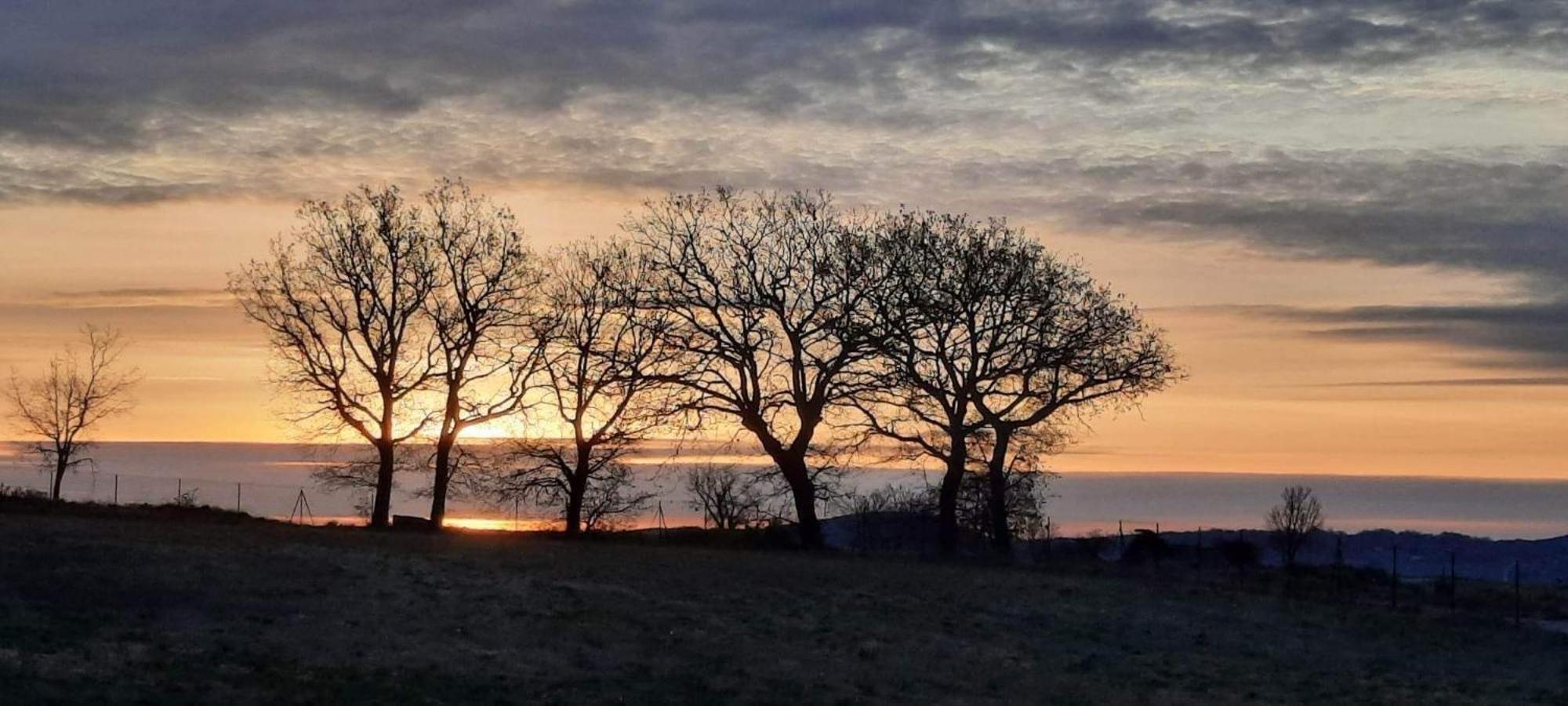 L'Arbre Qui Chante Saint-Etienne-de-Sermantin Extérieur photo